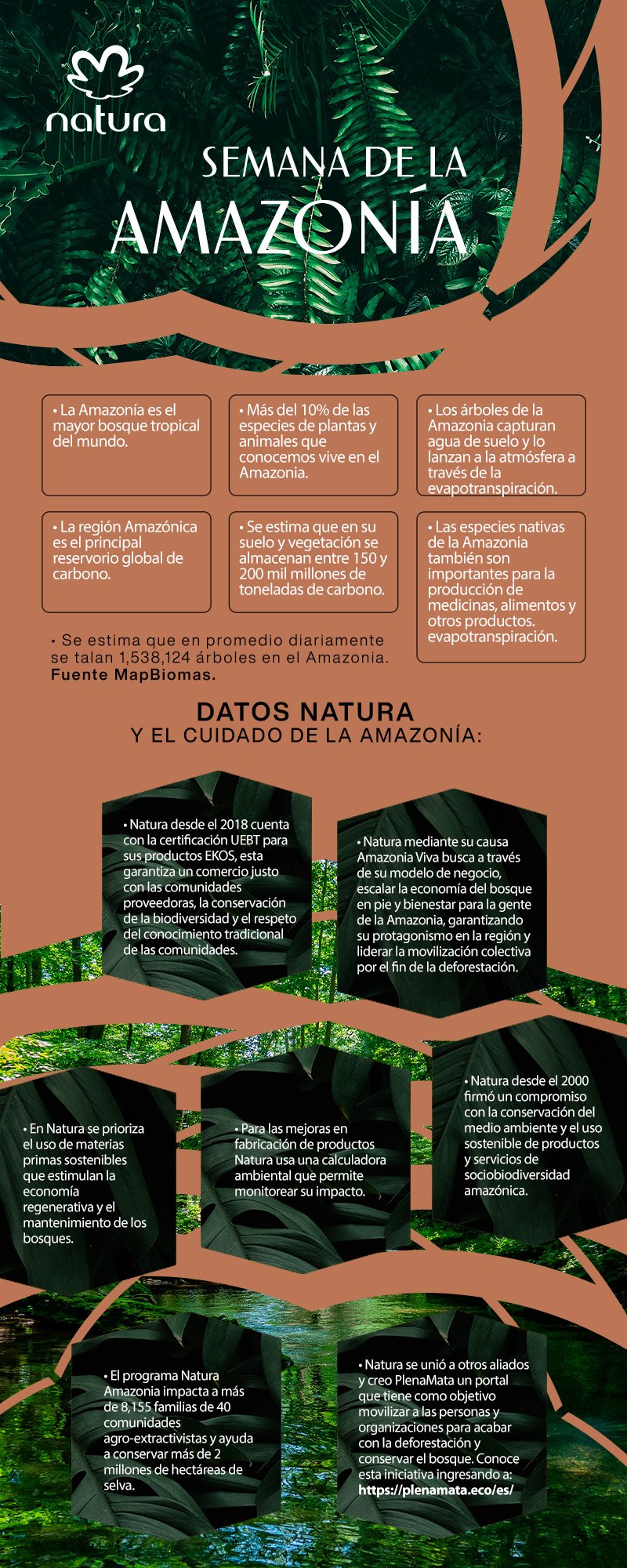 En la semana de la amazonia, Natura presenta su plataforma de compromiso y  acción colectiva que lucha contra la deforestación de la selva tropical más  grande del mundo - MNI NOTICIAS